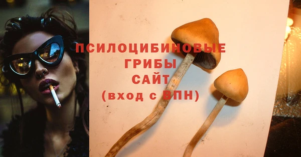 ешки Алексин