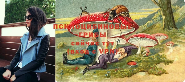 ешки Алексин
