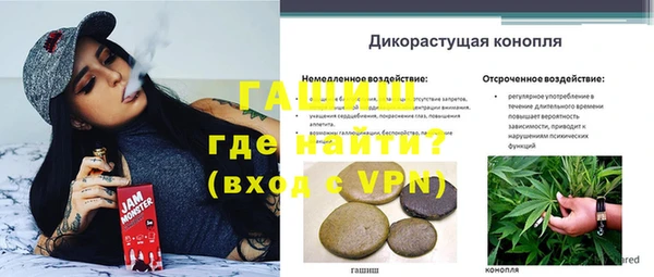 ешки Алексин