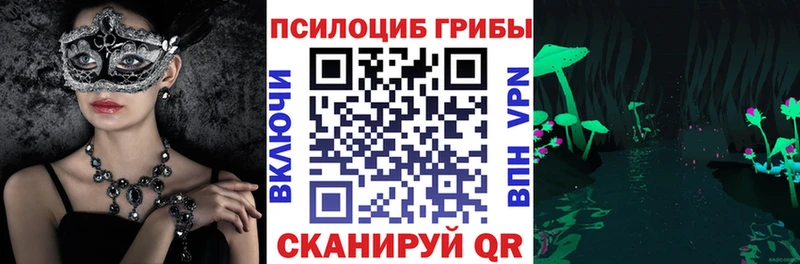 Галлюциногенные грибы Psilocybe  Заинск 
